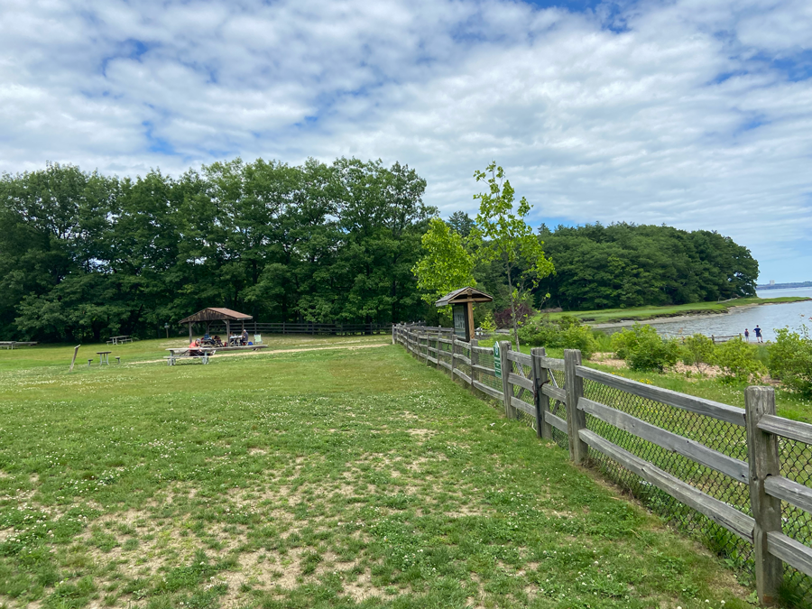 Drawing Inspirations at Wagon Hill